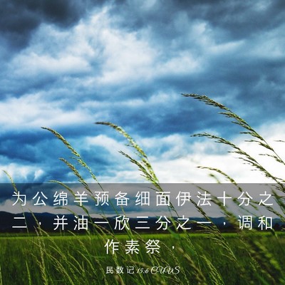 Picture 03 - 民 数 记 15:6 CUVS - 为 公 绵 羊 预 备 细 面 伊 法 十 分 - Bible Verse Picture
