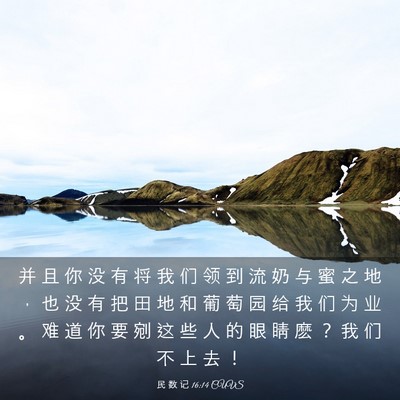 Picture 03 - 民 数 记 16:14 CUVS - 并 且 你 没 有 将 我 们 领 到 流 奶 - Bible Verse Picture