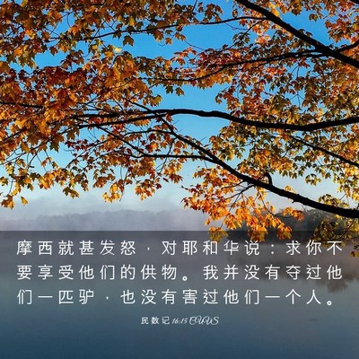 Picture 03 - 民 数 记 16:15 CUVS - 摩 西 就 甚 发 怒 ， 对 耶 和 华 说 - Bible Verse Picture