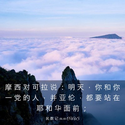 Picture 03 - 民 数 记 16:16 CUVS - 摩 西 对 可 拉 说 ： 明 天 ， 你 和 - Bible Verse Picture