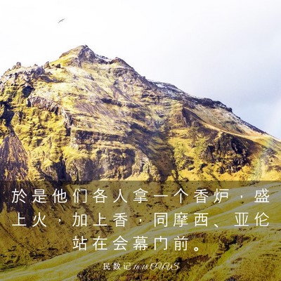 Picture 03 - 民 数 记 16:18 CUVS - 於 是 他 们 各 人 拿 一 个 香 炉 ， - Bible Verse Picture