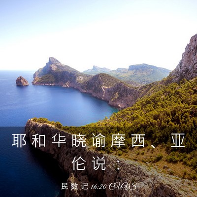 Picture 03 - 民 数 记 16:20 CUVS - 耶 和 华 晓 谕 摩 西 、 亚 伦 说 - Bible Verse Picture