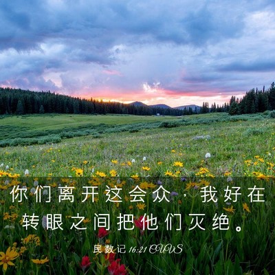 Picture 03 - 民 数 记 16:21 CUVS - 你 们 离 开 这 会 众 ， 我 好 在 转 - Bible Verse Picture
