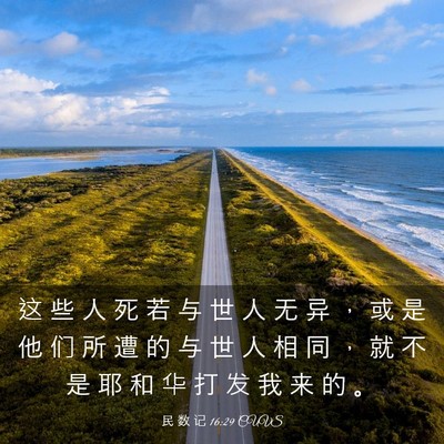 Picture 03 - 民 数 记 16:29 CUVS - 这 些 人 死 若 与 世 人 无 异 ， 或 - Bible Verse Picture