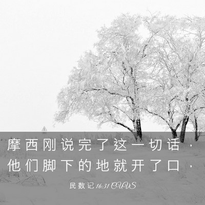 Picture 03 - 民 数 记 16:31 CUVS - 摩 西 刚 说 完 了 这 一 切 话 ， 他 - Bible Verse Picture