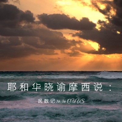 Picture 03 - 民 数 记 16:36 CUVS - 耶 和 华 晓 谕 摩 西 说 - Bible Verse Picture