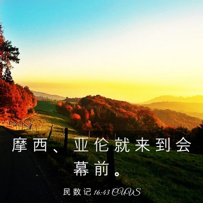 Picture 03 - 民 数 记 16:43 CUVS - 摩 西 、 亚 伦 就 来 到 会 幕 前 - Bible Verse Picture
