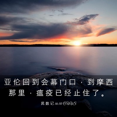 Picture 03 - 民 数 记 16:50 CUVS - 亚 伦 回 到 会 幕 门 口 ， 到 摩 西 - Bible Verse Picture