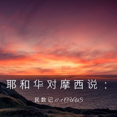 Picture 03 - 民 数 记 17:1 CUVS - 耶 和 华 对 摩 西 说 - Bible Verse Picture