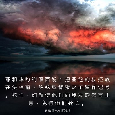 Picture 03 - 民 数 记 17:10 CUVS - 耶 和 华 吩 咐 摩 西 说 ： 把 亚 伦 - Bible Verse Picture