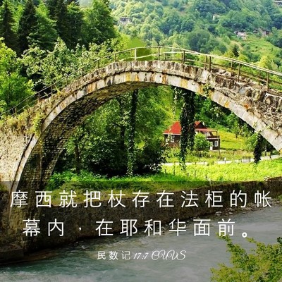 Picture 03 - 民 数 记 17:7 CUVS - 摩 西 就 把 杖 存 在 法 柜 的 帐 幕 - Bible Verse Picture