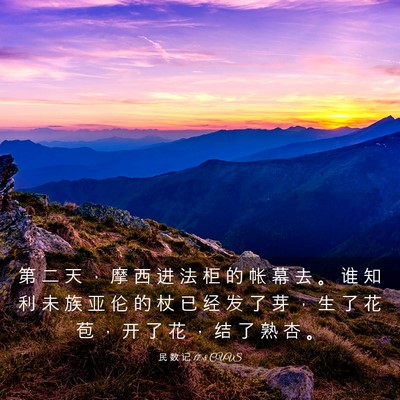 Picture 03 - 民 数 记 17:8 CUVS - 第 二 天 ， 摩 西 进 法 柜 的 帐 幕 - Bible Verse Picture