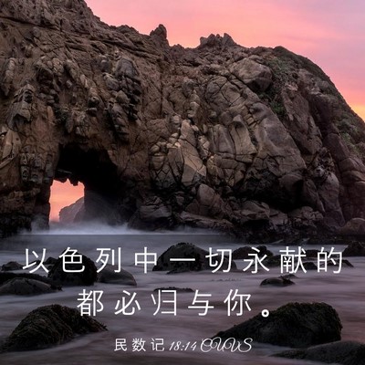Picture 03 - 民 数 记 18:14 CUVS - 以 色 列 中 一 切 永 献 的 都 必 归 - Bible Verse Picture