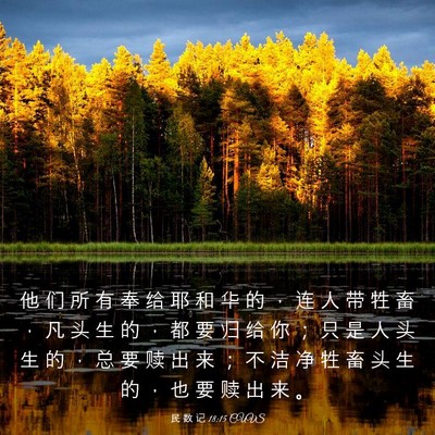Picture 03 - 民 数 记 18:15 CUVS - 他 们 所 有 奉 给 耶 和 华 的 ， 连 - Bible Verse Picture