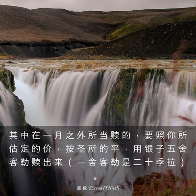 Picture 03 - 民 数 记 18:16 CUVS - 其 中 在 一 月 之 外 所 当 赎 的 ， - Bible Verse Picture