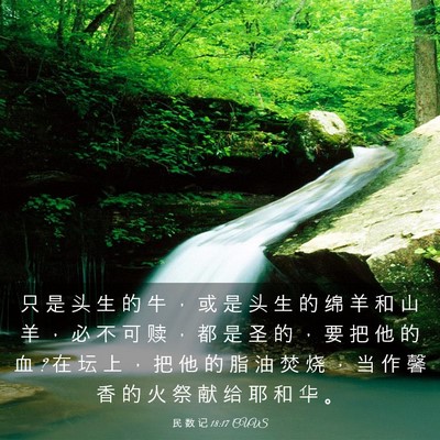 Picture 03 - 民 数 记 18:17 CUVS - 只 是 头 生 的 牛 ， 或 是 头 生 的 - Bible Verse Picture