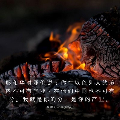 Picture 03 - 民 数 记 18:20 CUVS - 耶 和 华 对 亚 伦 说 ： 你 在 以 色 - Bible Verse Picture