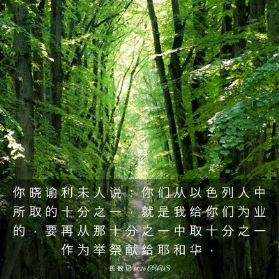 Picture 03 - 民 数 记 18:26 CUVS - 你 晓 谕 利 未 人 说 ： 你 们 从 以 - Bible Verse Picture