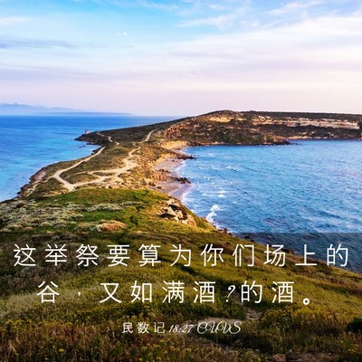 Picture 03 - 民 数 记 18:27 CUVS - 这 举 祭 要 算 为 你 们 场 上 的 谷 - Bible Verse Picture