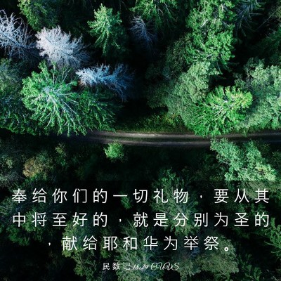 Picture 03 - 民 数 记 18:29 CUVS - 奉 给 你 们 的 一 切 礼 物 ， 要 从 - Bible Verse Picture