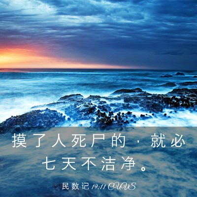 Picture 03 - 民 数 记 19:11 CUVS - 摸 了 人 死 尸 的 ， 就 必 七 天 不 - Bible Verse Picture