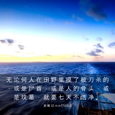Picture 03 - 民 数 记 19:16 CUVS - 无 论 何 人 在 田 野 里 摸 了 被 刀 - Bible Verse Picture