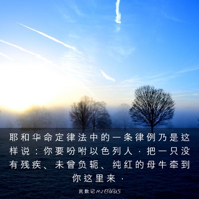 Picture 03 - 民 数 记 19:2 CUVS - 耶 和 华 命 定 律 法 中 的 一 条 律 - Bible Verse Picture