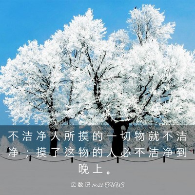 Picture 03 - 民 数 记 19:22 CUVS - 不 洁 净 人 所 摸 的 一 切 物 就 不 - Bible Verse Picture