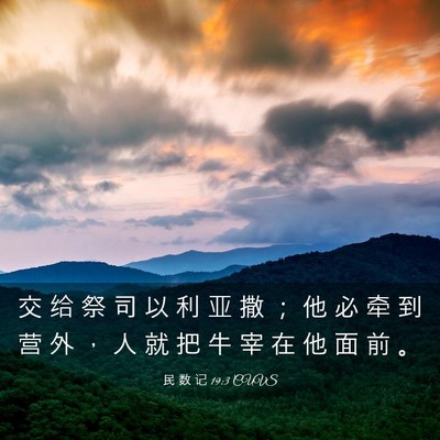 Picture 03 - 民 数 记 19:3 CUVS - 交 给 祭 司 以 利 亚 撒 ； 他 必 牵 - Bible Verse Picture