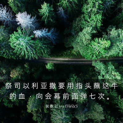 Picture 03 - 民 数 记 19:4 CUVS - 祭 司 以 利 亚 撒 要 用 指 头 蘸 这 - Bible Verse Picture