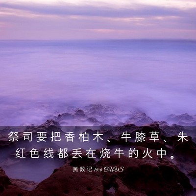 Picture 03 - 民 数 记 19:6 CUVS - 祭 司 要 把 香 柏 木 、 牛 膝 草 、 - Bible Verse Picture
