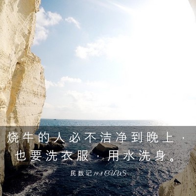 Picture 03 - 民 数 记 19:8 CUVS - 烧 牛 的 人 必 不 洁 净 到 晚 上 ， - Bible Verse Picture