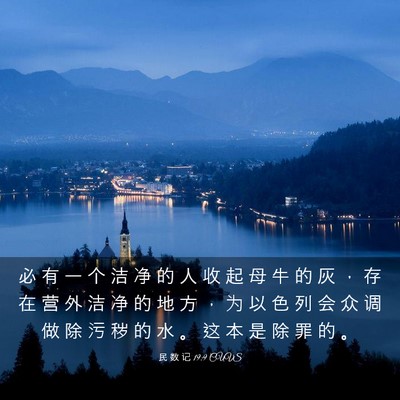 Picture 03 - 民 数 记 19:9 CUVS - 必 有 一 个 洁 净 的 人 收 起 母 牛 - Bible Verse Picture