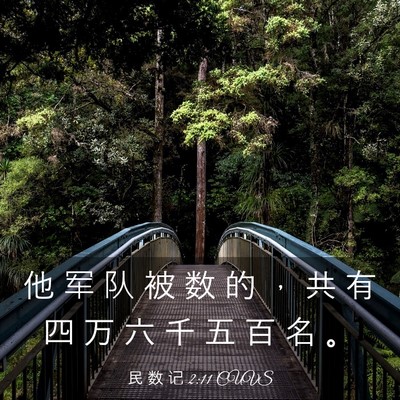 Picture 03 - 民 数 记 2:11 CUVS - 他 军 队 被 数 的 ， 共 有 四 万 六 - Bible Verse Picture