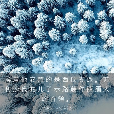 Picture 03 - 民 数 记 2:12 CUVS - 挨 着 他 安 营 的 是 西 缅 支 派 。 - Bible Verse Picture