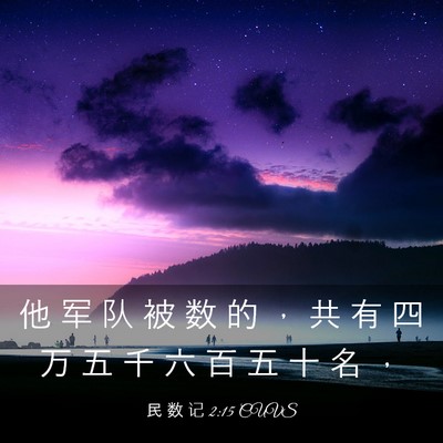 Picture 03 - 民 数 记 2:15 CUVS - 他 军 队 被 数 的 ， 共 有 四 万 五 - Bible Verse Picture