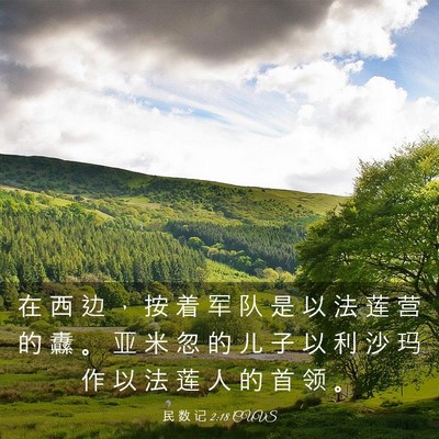 Picture 03 - 民 数 记 2:18 CUVS - 在 西 边 ， 按 着 军 队 是 以 法 莲 - Bible Verse Picture