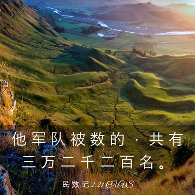 Picture 03 - 民 数 记 2:21 CUVS - 他 军 队 被 数 的 ， 共 有 三 万 二 - Bible Verse Picture