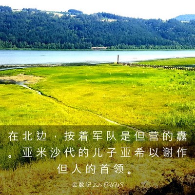 Picture 03 - 民 数 记 2:25 CUVS - 在 北 边 ， 按 着 军 队 是 但 营 的 - Bible Verse Picture