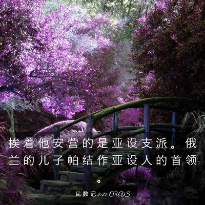Picture 03 - 民 数 记 2:27 CUVS - 挨 着 他 安 营 的 是 亚 设 支 派 。 - Bible Verse Picture