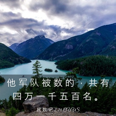Picture 03 - 民 数 记 2:28 CUVS - 他 军 队 被 数 的 ， 共 有 四 万 一 - Bible Verse Picture