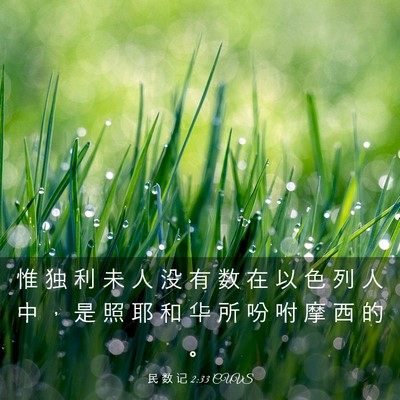 Picture 03 - 民 数 记 2:33 CUVS - 惟 独 利 未 人 没 有 数 在 以 色 列 - Bible Verse Picture