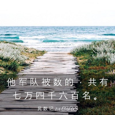 Picture 03 - 民 数 记 2:4 CUVS - 他 军 队 被 数 的 ， 共 有 七 万 四 - Bible Verse Picture