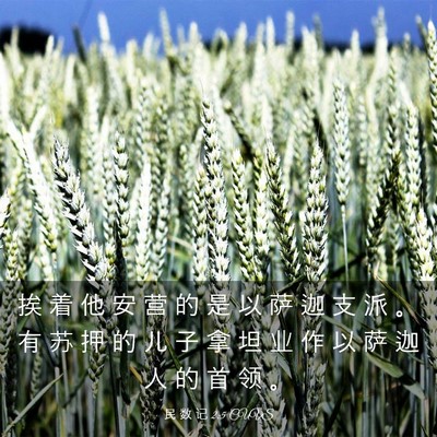 Picture 03 - 民 数 记 2:5 CUVS - 挨 着 他 安 营 的 是 以 萨 迦 支 派 - Bible Verse Picture