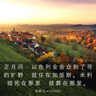 Picture 03 - 民 数 记 20:1 CUVS - 正 月 间 ， 以 色 列 全 会 众 到 了 - Bible Verse Picture