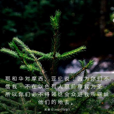 Picture 03 - 民 数 记 20:12 CUVS - 耶 和 华 对 摩 西 、 亚 伦 说 ： 因 - Bible Verse Picture