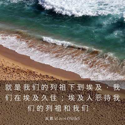Picture 03 - 民 数 记 20:15 CUVS - 就 是 我 们 的 列 祖 下 到 埃 及 ， - Bible Verse Picture