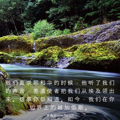 Picture 03 - 民 数 记 20:16 CUVS - 我 们 哀 求 耶 和 华 的 时 候 ， 他 - Bible Verse Picture