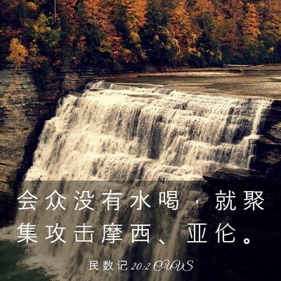 Picture 03 - 民 数 记 20:2 CUVS - 会 众 没 有 水 喝 ， 就 聚 集 攻 击 - Bible Verse Picture