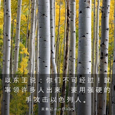 Picture 03 - 民 数 记 20:20 CUVS - 以 东 王 说 ： 你 们 不 可 经 过 ！ - Bible Verse Picture